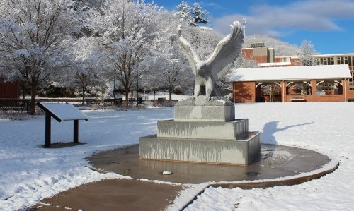 Come home to The Haven, where our greatest asset is YOU.