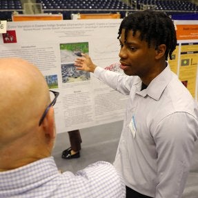 From the first spark of curiosity to the final presentation board, several Commonwealth University students spent the summer transforming ideas into scholarship through the Undergraduate Research, Scholarly, and Creative Activities Program.