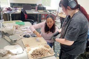 Anthropology major Lauren Spencer (right) consulting with PAW archaeologist Marielos Cuyan while analyzing ancient pottery in the project lab house. 