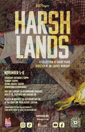 Harsh Lands Poster