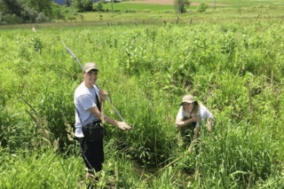 Two boys in tall grass.