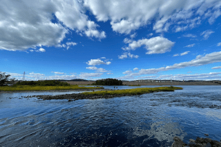 In 2023, the Western Pennsylvania Conservancy and its partners were awarded more than $410,000 in funding from the National Fish and Wildlife Foundation for a 3-year project to reintroduce freshwater mussels to a 40-plus-mile stretch of the Susquehanna River's west branch.