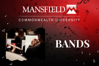 Bands Mansfield