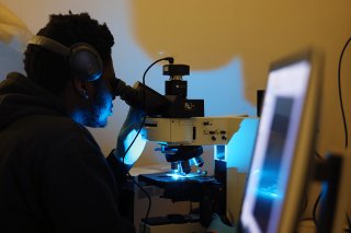 Microplastics are notoriously hard to find, but a student–faculty team at Commonwealth University–Mansfield has been busy building tools to track them in living tissue to better understand their health risks.
