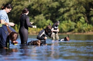 Through associate professor Daniel Spooner’s class, students are assisting the ongoing West Branch Susquehanna River Mussel Restoration Project, helping return juvenile eastern lampmussels and yellow lampmussels to waters recovering from acid mine drainage.
