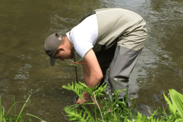 Watershed student in lake