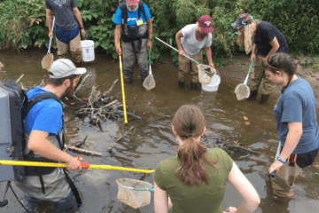 Watershed students in water
