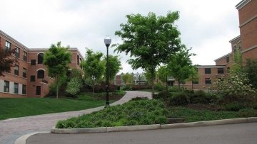 Brick pathway between Luzerne Hall and Northumberland Hall.