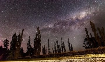 Space picture at night with trees in foreground