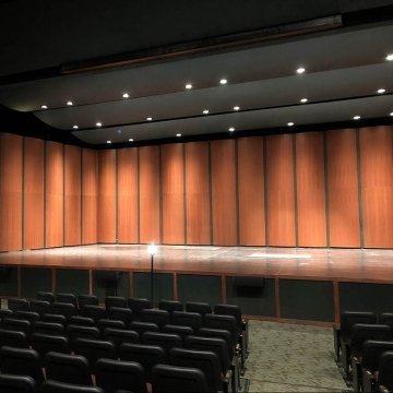 Haas Center for the Arts - Auditorium