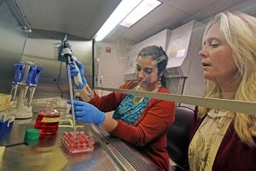 Students working in biology lab