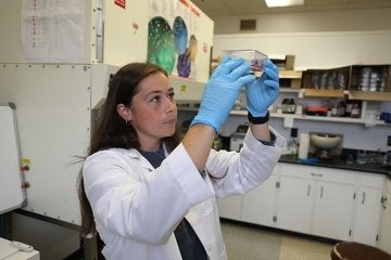 Biology student looking at dish