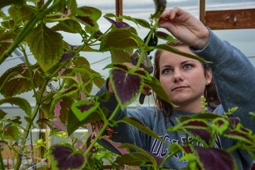 Student looking at plant.