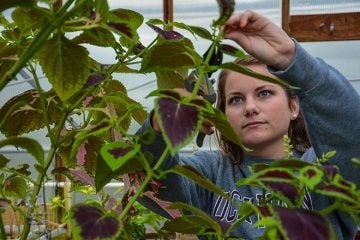Student looking at plant.