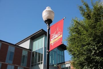 Campaign banner