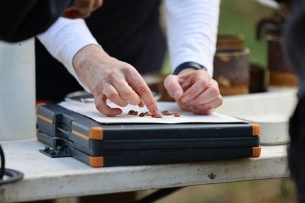 In 2023, the Western Pennsylvania Conservancy and its partners were awarded more than $410,000 in funding from the National Fish and Wildlife Foundation for a 3-year project to reintroduce freshwater mussels to a 40-plus-mile stretch of the Susquehanna River's west branch.