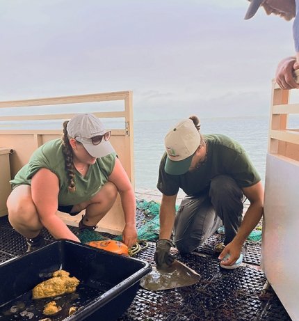 Katie Gavek’s journey from aspiring marine biologist to psychology major at Commonwealth University-Lock Haven reveals how passion and adaptability can shape a unique academic path.