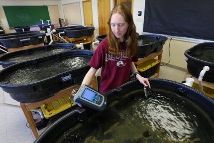 Natalie Brown knelt beside a humming lab setup at Lock Haven University, calipers in hand, measuring the promise of Pennsylvania’s streams. 