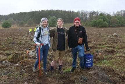 Tioga Forest Planting