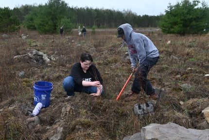Tioga Forest Planting