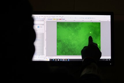 Microplastics are notoriously hard to find, but a student–faculty team at Commonwealth University–Mansfield has been busy building tools to track them in living tissue to better understand their health risks.