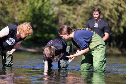 Through associate professor Daniel Spooner’s class, students are assisting the ongoing West Branch Susquehanna River Mussel Restoration Project, helping return juvenile eastern lampmussels and yellow lampmussels to waters recovering from acid mine drainage. 