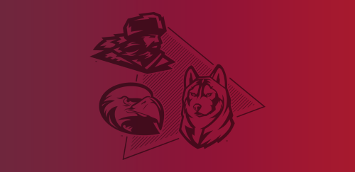 Commonwealth University Placeholder Image