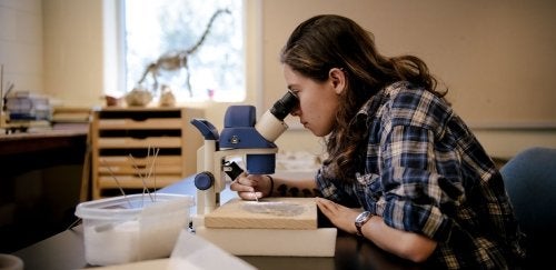 EGGS student using microscope in lab at CU-Bloomsburg