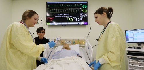 Nurses play a central role in providing health care, offering emotional support, and promoting health and wellness. 