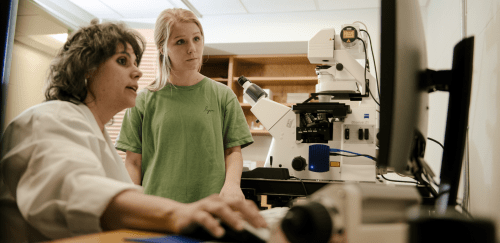 Medical Imaging student and professor looking at a computer