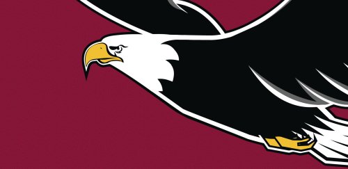 Lock Haven Bald Eagle logo on red background