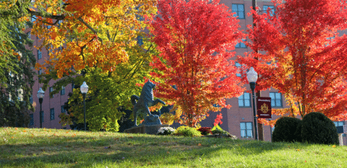 Picture of the Husky statue in the Fall