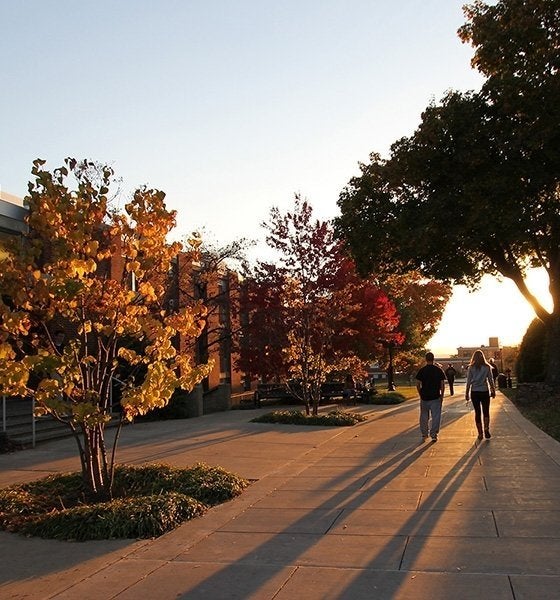campus on a fall evening