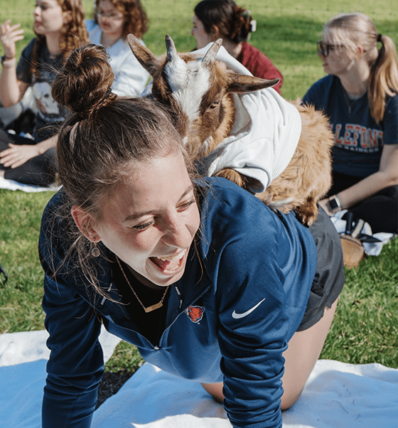 Lock Haven's campus-wide health and wellness initiative focuses on education and prevention; featuring trained students to support and educate their peers about various health issues that affect student success. 