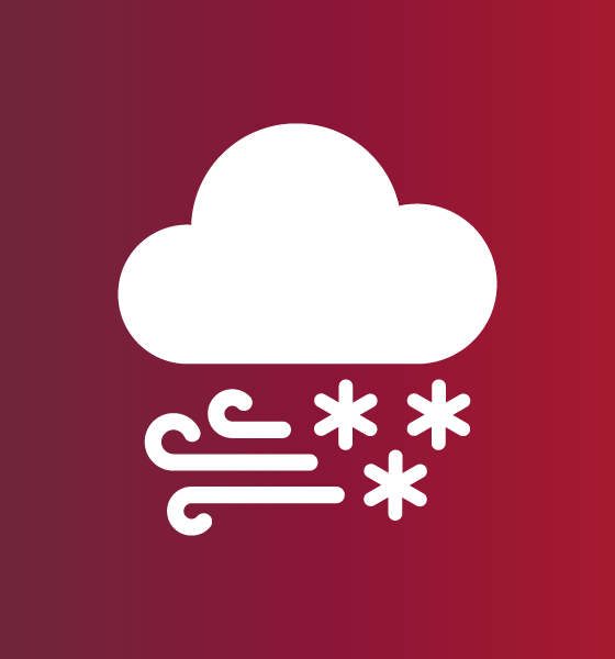 Inclement weather icon showing wind and snow.