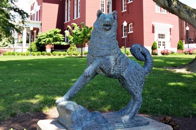 Husky Statue