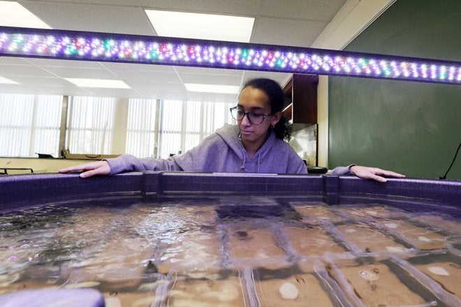 Commonwealth University-Lock Haven undergraduate’s research bridges the gap between student science and large-scale conservation in the Susquehanna watershed.