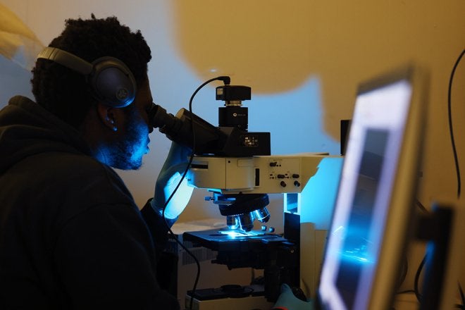 Microplastics are notoriously hard to find, but a student–faculty team at Commonwealth University–Mansfield has been busy building tools to track them in living tissue to better understand their health risks.