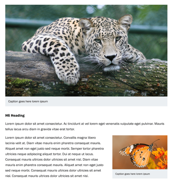 a screenshot of the general page