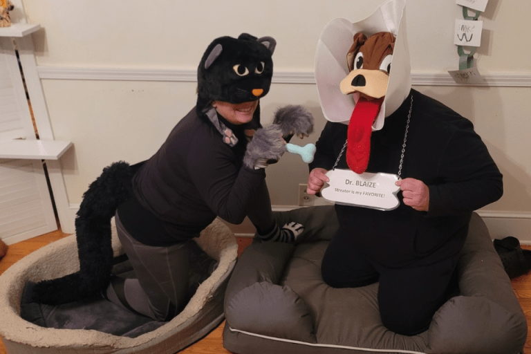 Two people in a cat and dog costume. 