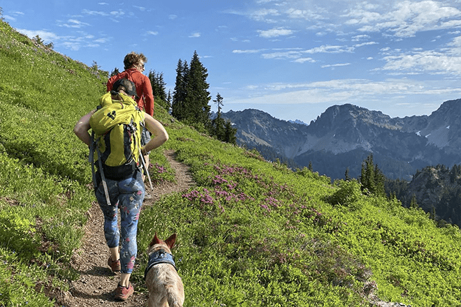 Quest students backpacking with a dog