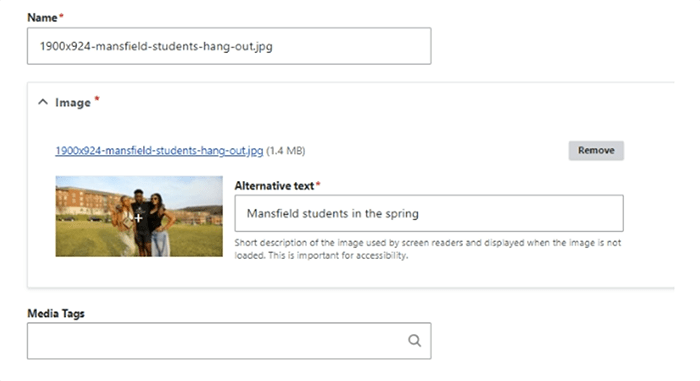 Alternative text options are being displayed as part of adding a picture.