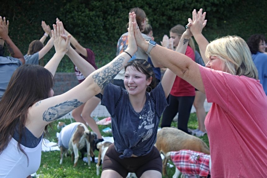 Goat Yoga4